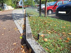 Tomar: depois da tempestade… vem a rega automática rega 20250928 111726