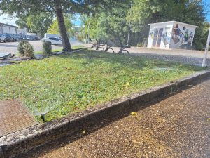 Tomar: depois da tempestade… vem a rega automática rega 20250928 111804