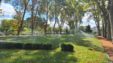 Tomar: depois da tempestade… vem a rega automática rega mouchao 20250928 111256