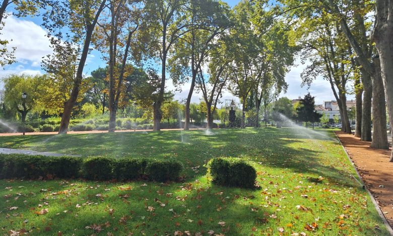 rega mouchao 20250928 111256