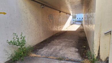 Túnel em S. Lourenço está “uma vergonha” tunel s. lourenco 20250913 083129