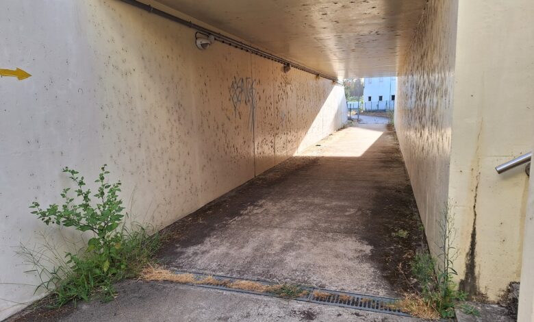 tunel s. lourenco 20250913 083129