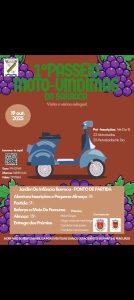 Sugestões para o fim de semana em Tomar e arredores 19 10 4179238109032516 5702824639369793838 n