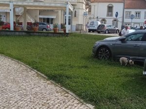 Em dia de eleições foi o vale-tudo no estacionamento em Tomar Messenger creation AA5EB140 F11E 49D4 B558 4CACC7619008