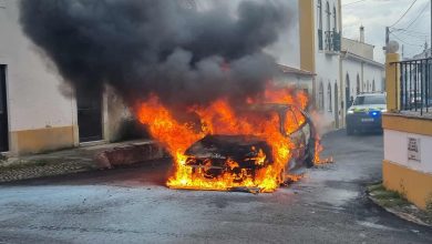 carro 997 1433660902096026 551966368585771218 n