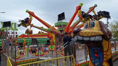 Sugestões para o fim de semana feira de santa iria 20251019 162604