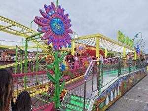 Feira de Santa Iria atrai milhares a Tomar (c/ fotos) feira de santa iria 20251019 162620