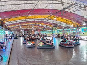 Feira de Santa Iria atrai milhares a Tomar (c/ fotos) feira de santa iria 20251019 162711