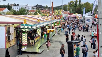 Feira de Santa Iria atrai milhares a Tomar (c/ fotos) feira de santa iria 20251019 162906