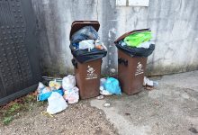 Lixo acumula-se no antigo parque de campismo (c/ fotos) lixo 20251026 075820