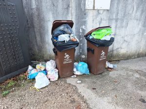 Lixo acumula-se no antigo parque de campismo (c/ fotos) lixo 20251026 075820