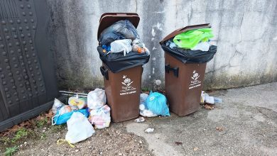 Lixo acumula-se no antigo parque de campismo (c/ fotos) lixo 20251026 075820