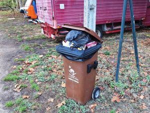 Lixo acumula-se no antigo parque de campismo (c/ fotos) lixo 20251026 075855