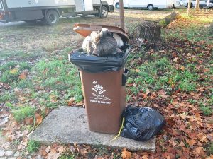 Lixo acumula-se no antigo parque de campismo (c/ fotos) lixo 20251026 080003