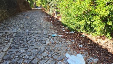 Lixo acumula-se num dos principais acessos ao Convento de Cristo lixo convento 20251005 100746