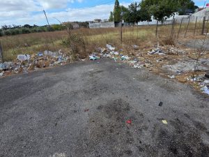 Cidadão denuncia problemas com lixo em Tomar (c/ fotos) lixo z 20250828 105909