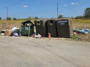 Cidadão denuncia problemas com lixo em Tomar (c/ fotos) lixo z 20251007 131751