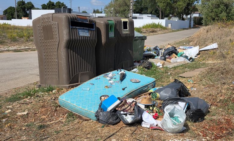 Cidadão denuncia problemas com lixo em Tomar (c/ fotos) lixo z 20251007 131825