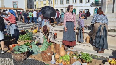 O Mercado 1900 em imagens mercado 1900 20251005 105356