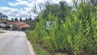 Que terra é esta? vale cabrito 20251020 142947