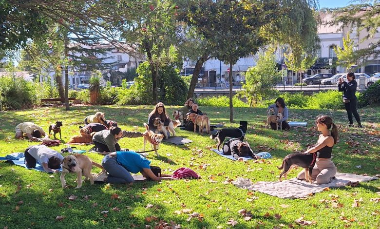 yoga caes 20251005 104756