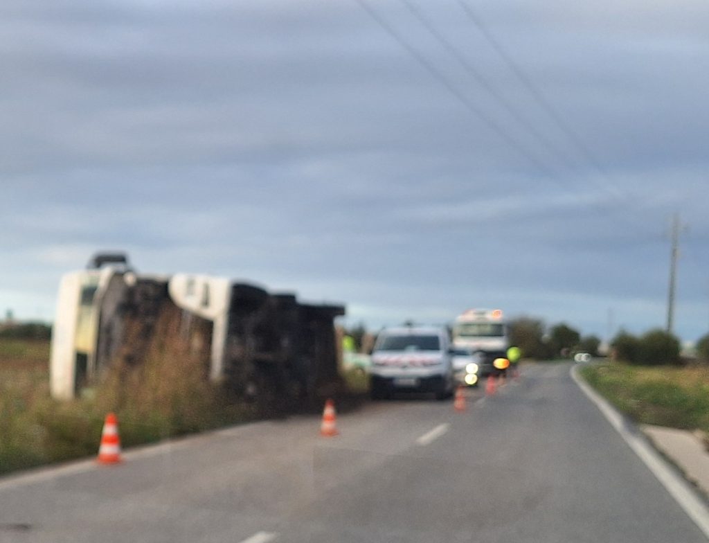 Camião despistou-se na estrada Entroncamento - Golegã 20251106 162659