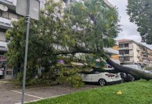 Árvore caiu em cima de carro Messenger creation 6F0F29F8 ED14 400B 8B11 EB81903160B7