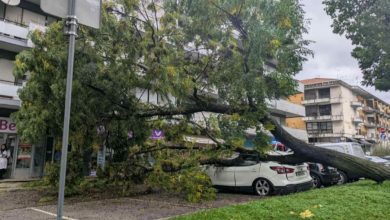 Árvore caiu em cima de carro Messenger creation 6F0F29F8 ED14 400B 8B11 EB81903160B7