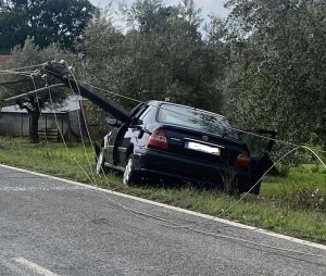 acid 3780708072 1588512739828051466 n