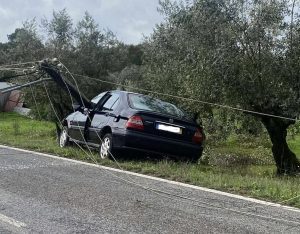 acid 600132158720 1966338759613607126 n