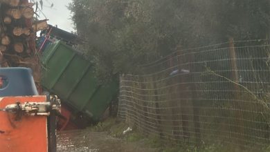 Sucedem-se os despistes de camiões na estrada Entroncamento - Golegã acid IMG 20251113 WA0006