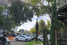 Ramos de árvore em risco de caírem no parque de Santa Iria arvore 20251116 105057