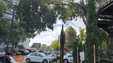 Ramos de árvore em risco de caírem no parque de Santa Iria arvore 20251116 105057