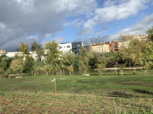 flecheiro cheias Messenger creation A0F3D4E6 EB80 401B 98B1 142EA5E81276