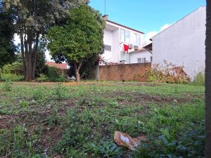 logradouro rua pedro dias 20251102 121847 001