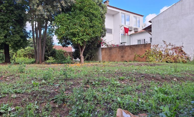 logradouro rua pedro dias 20251102 121848