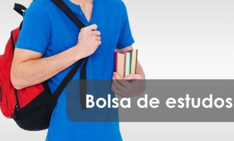 Câmara atribui 53 bolsas de estudo bols 1550ecdbe3a5 XL