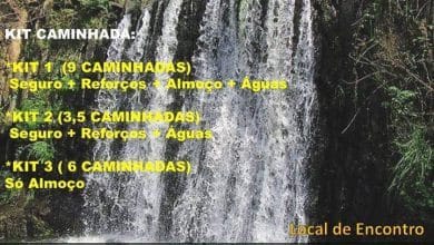 31 3 16 2853439330725134336 n