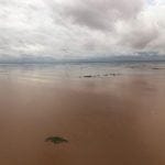 IMG 20190321 WA0026