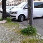 Av. Nuno Álvares Pereira desprezada IMG 20190310 071832