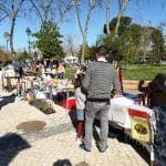 IMG 20190310 153417