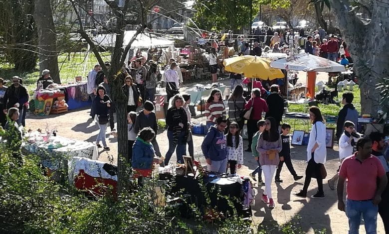 Enchente no mercado Tomar Alternativo (c/ fotos e vídeo) IMG 20190310 154948