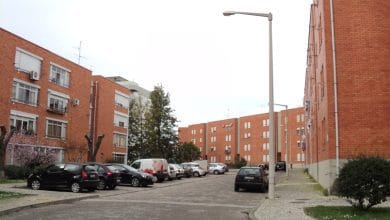 Nabancia DSC03892