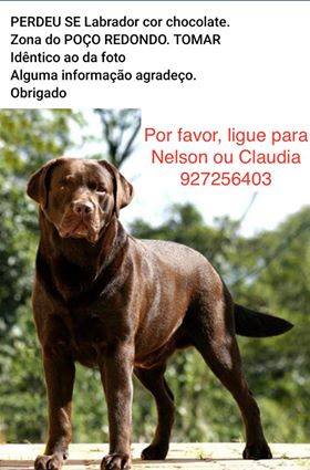 apelo 11563382161670144 n