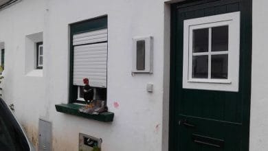 galinha IMG 20181125 082112