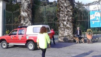 mata portoes IMG 20190331 091333