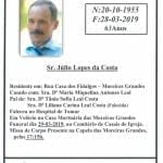 nec 8997897833046605824 n