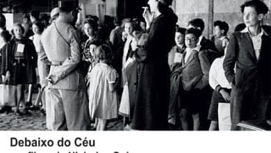 16 4 07548954860716032 n