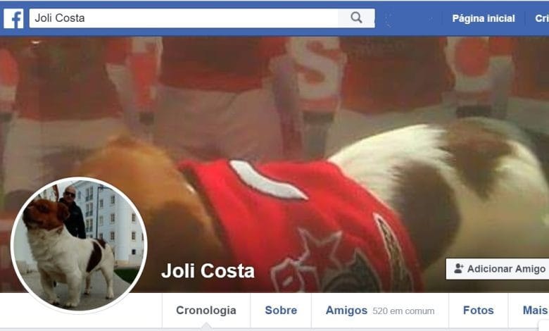 Um cão com milhares de amigos no facebook joli