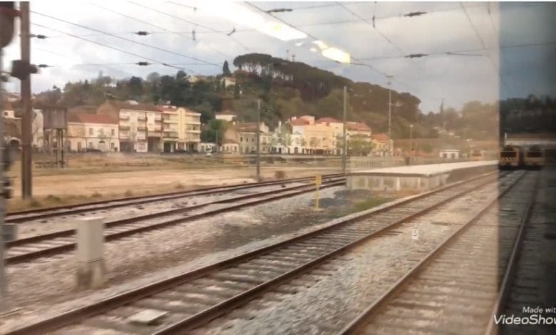 De comboio entre Tomar e Entroncamento (c/ vídeo) ramal de Tomar comboio